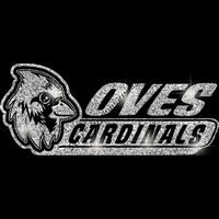 GLT102 SILVER GLITTER Thumbnail